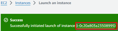 Instance Launch Success