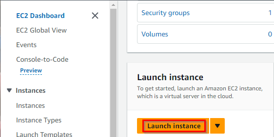 Launch Instances Button